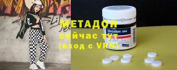 индика Козловка