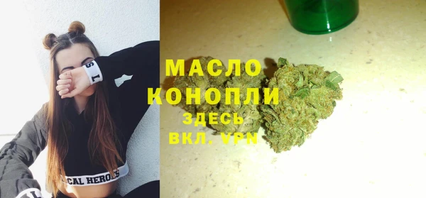 индика Козловка
