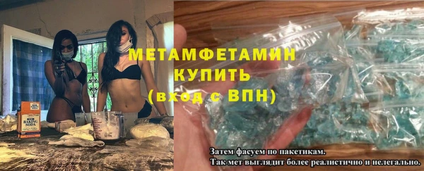 индика Козловка
