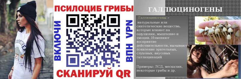 Псилоцибиновые грибы Psilocybe  Калтан 